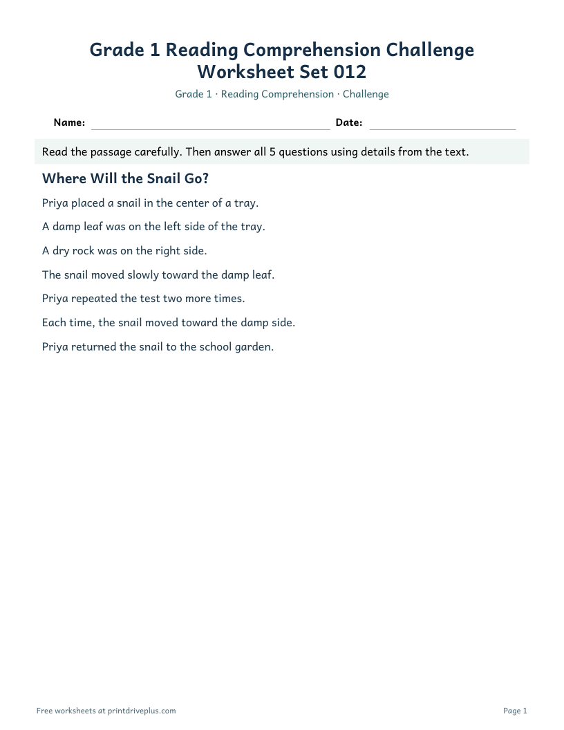 Preview of Grade 1 Reading Comprehension Challenge Worksheet Set 012