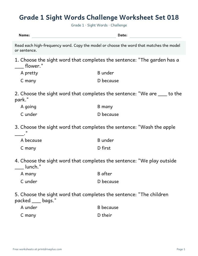 Preview of Grade 1 Sight Words Challenge Worksheet Set 018