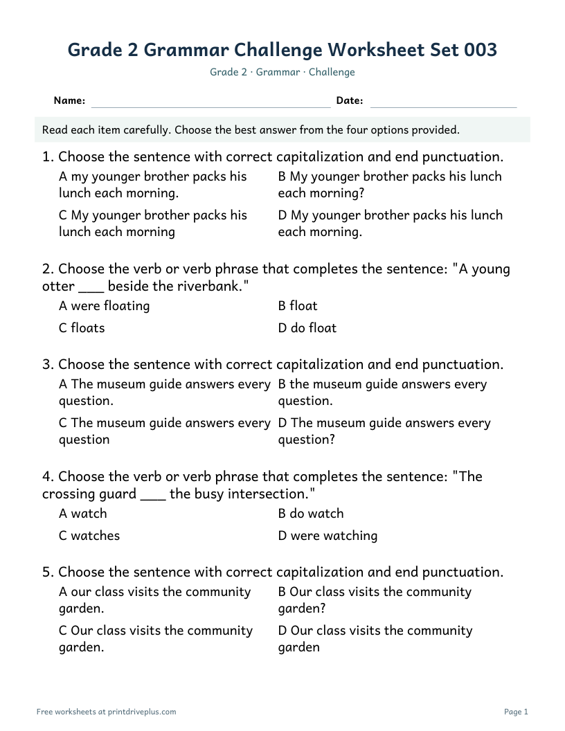 Preview of Grade 2 Grammar Challenge Worksheet Set 003