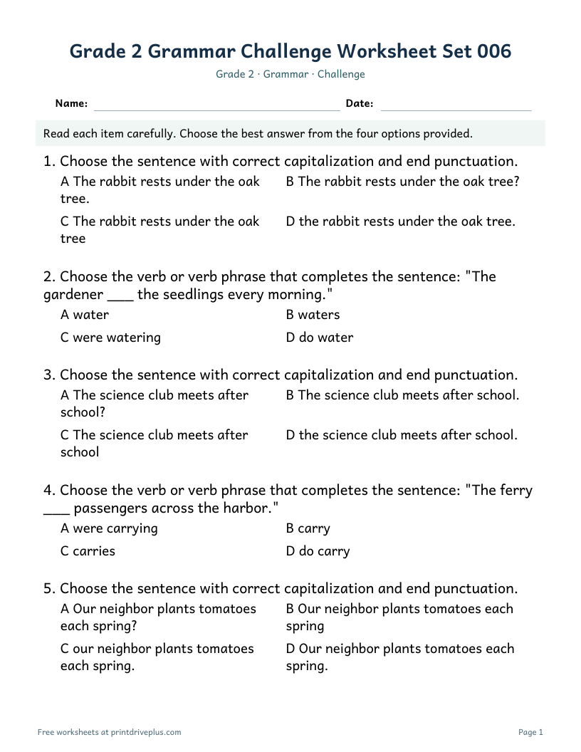 Preview of Grade 2 Grammar Challenge Worksheet Set 006