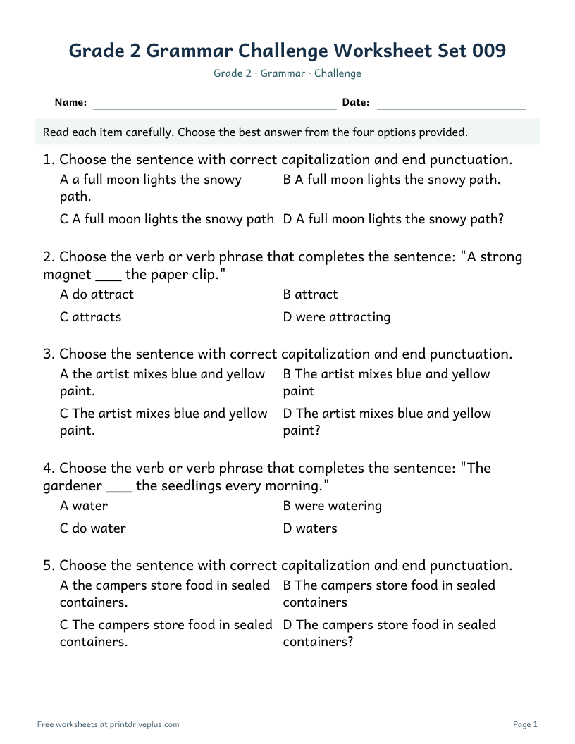 Preview of Grade 2 Grammar Challenge Worksheet Set 009