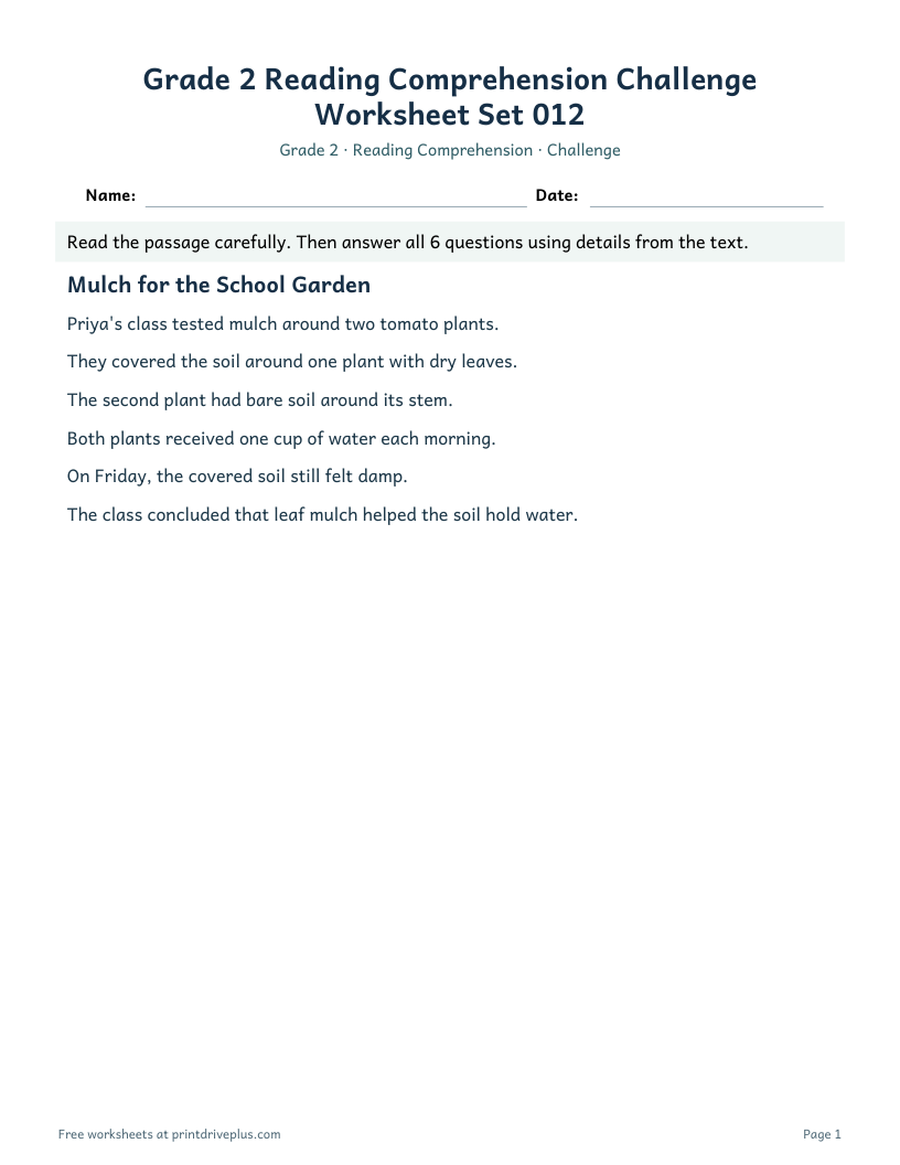 Preview of Grade 2 Reading Comprehension Challenge Worksheet Set 012