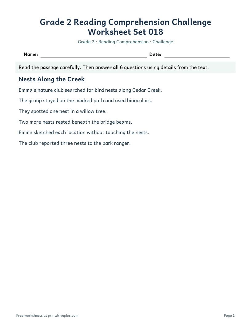 Preview of Grade 2 Reading Comprehension Challenge Worksheet Set 018