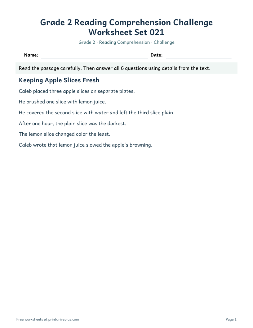 Preview of Grade 2 Reading Comprehension Challenge Worksheet Set 021