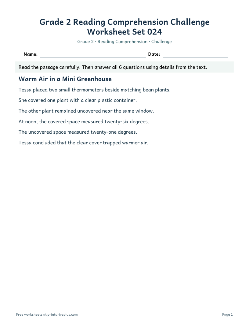 Preview of Grade 2 Reading Comprehension Challenge Worksheet Set 024