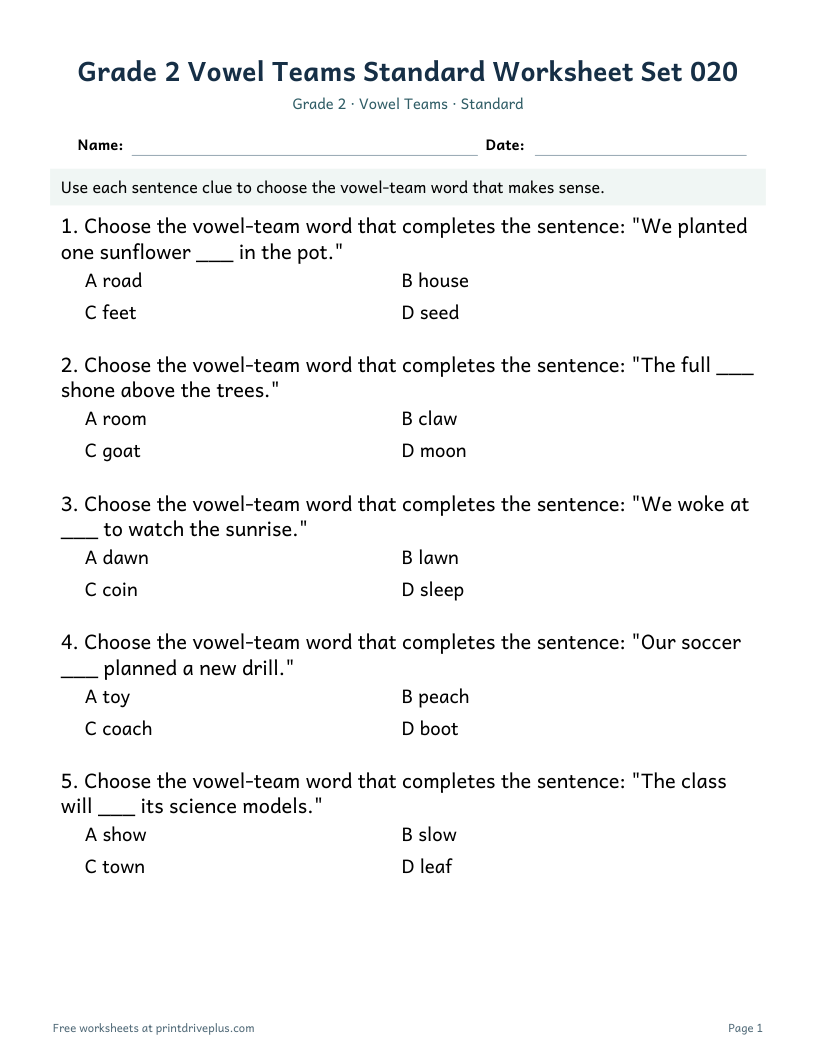 Preview of Grade 2 Vowel Teams Standard Worksheet Set 020
