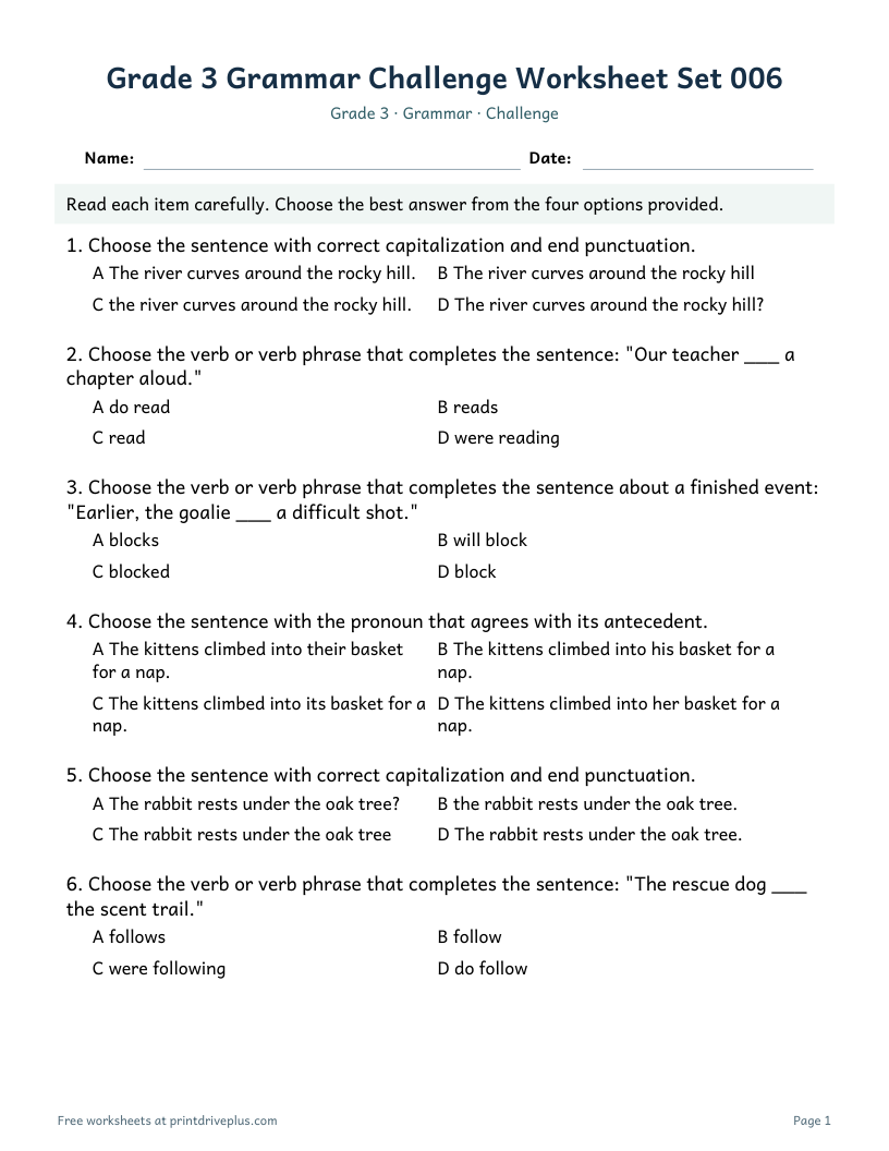 Preview of Grade 3 Grammar Challenge Worksheet Set 006