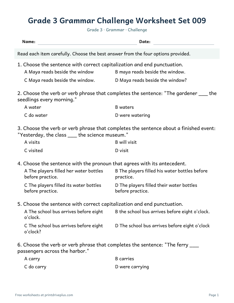Preview of Grade 3 Grammar Challenge Worksheet Set 009