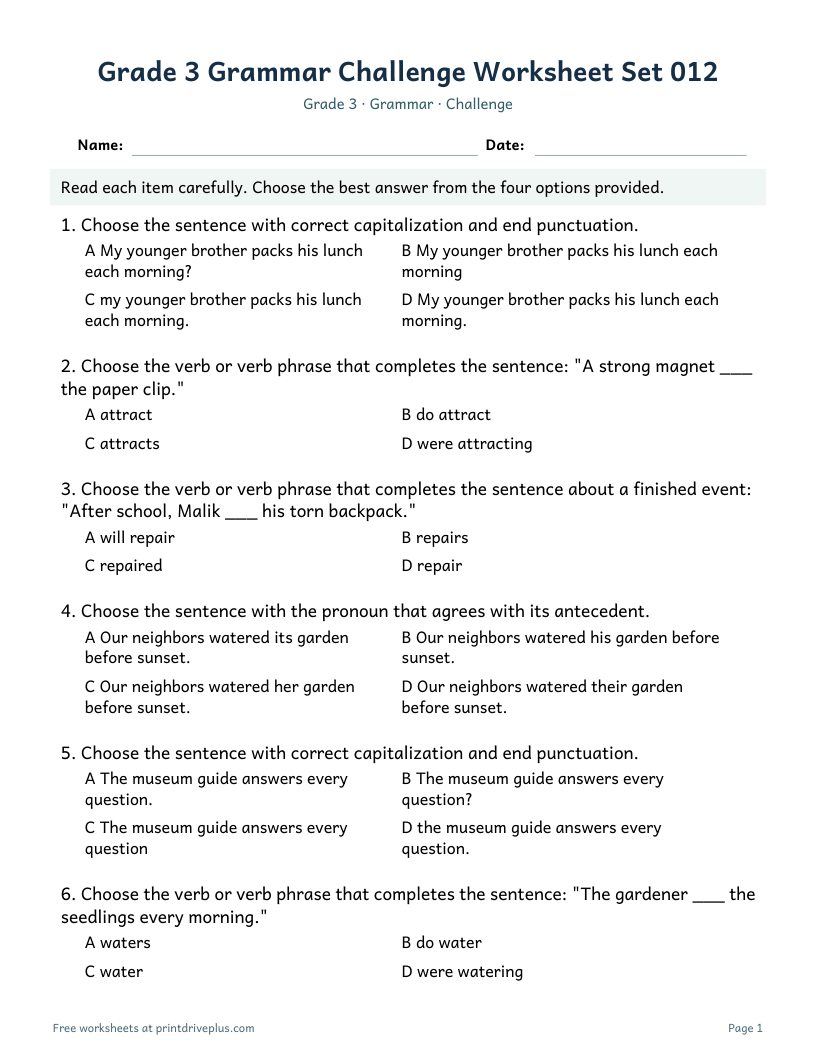 Preview of Grade 3 Grammar Challenge Worksheet Set 012