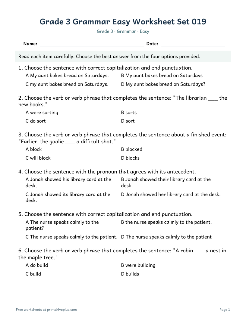 Preview of Grade 3 Grammar Easy Worksheet Set 019
