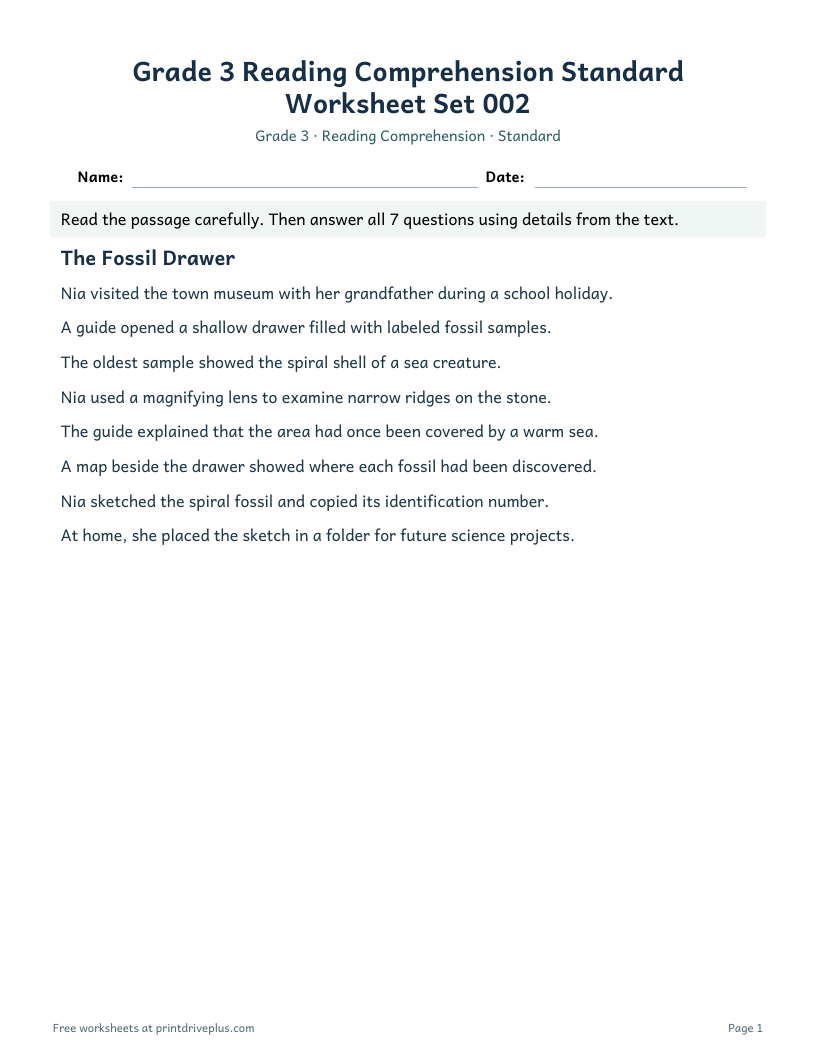 Preview of Grade 3 Reading Comprehension Standard Worksheet Set 002