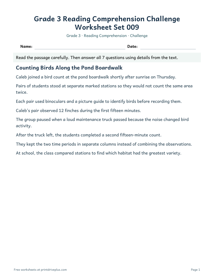 Preview of Grade 3 Reading Comprehension Challenge Worksheet Set 009