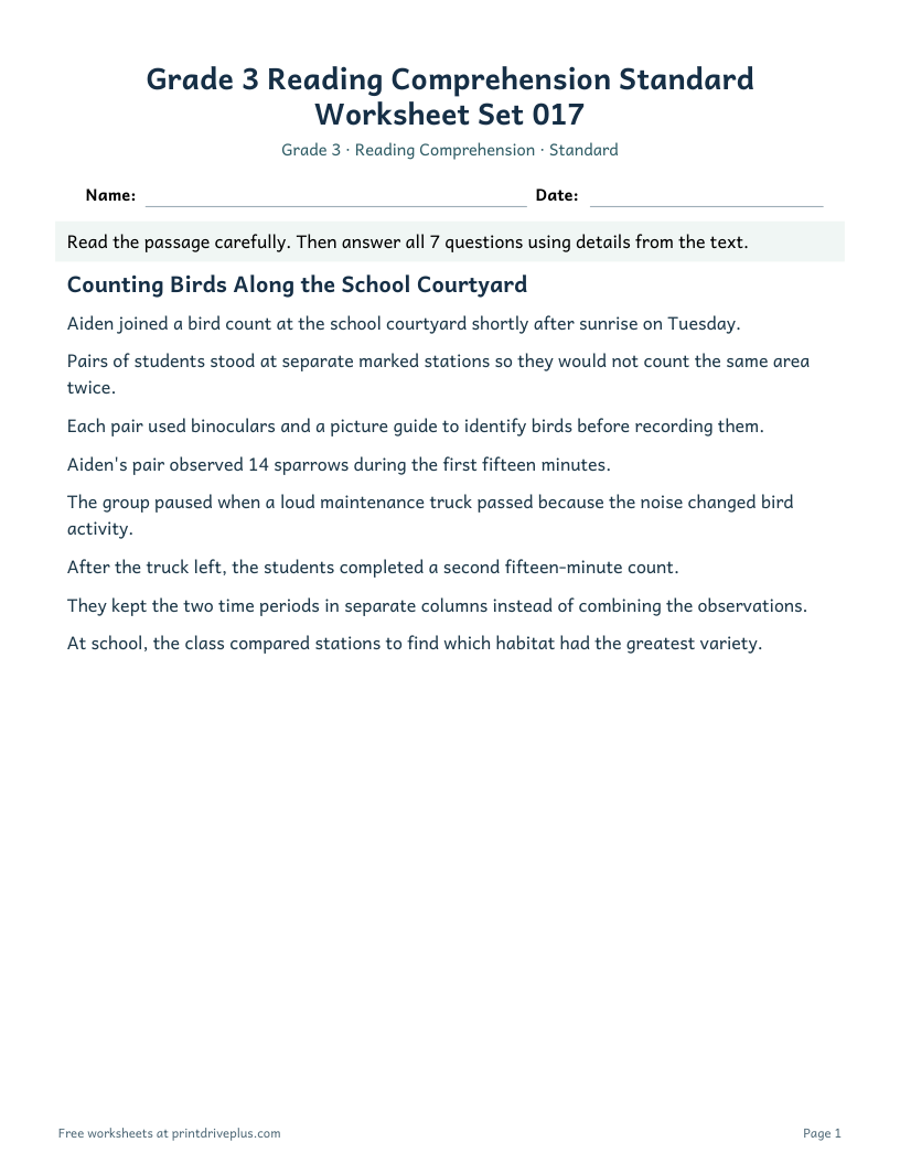Preview of Grade 3 Reading Comprehension Standard Worksheet Set 017