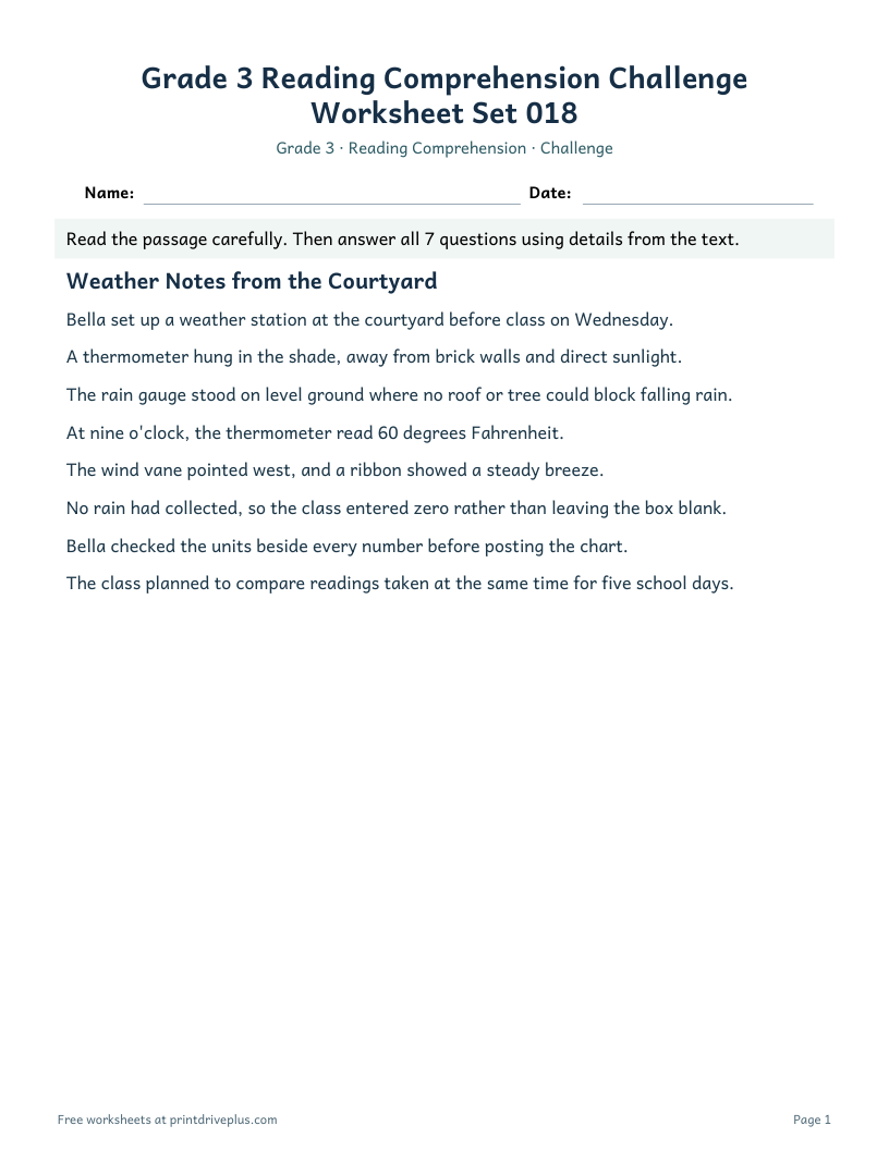 Preview of Grade 3 Reading Comprehension Challenge Worksheet Set 018