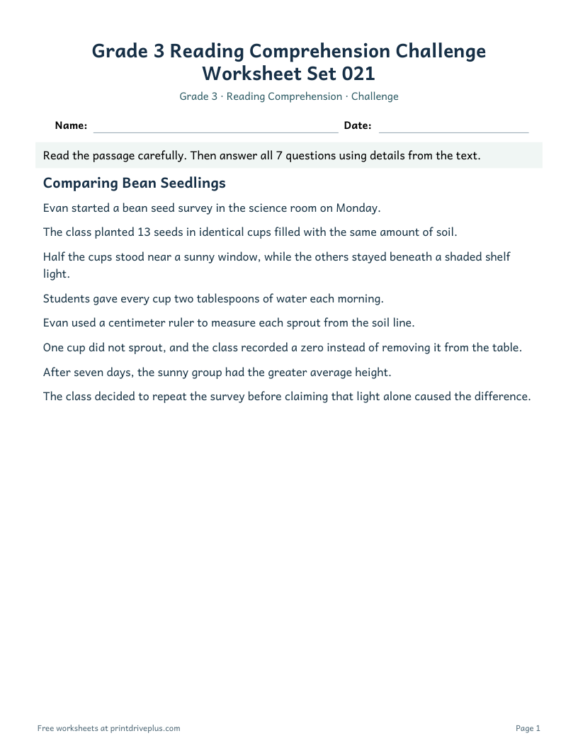 Preview of Grade 3 Reading Comprehension Challenge Worksheet Set 021