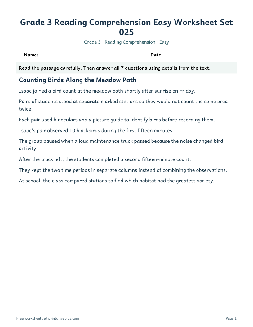 Preview of Grade 3 Reading Comprehension Easy Worksheet Set 025