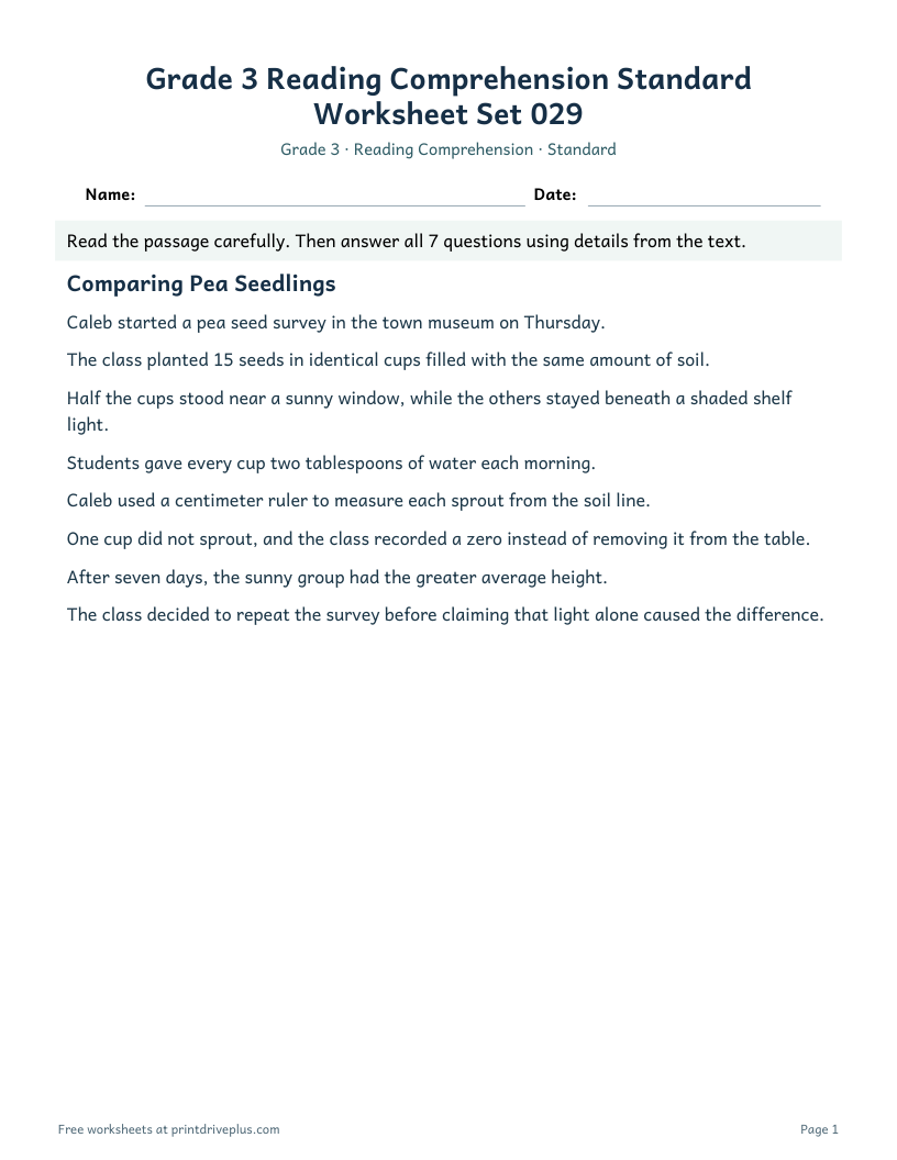 Preview of Grade 3 Reading Comprehension Standard Worksheet Set 029