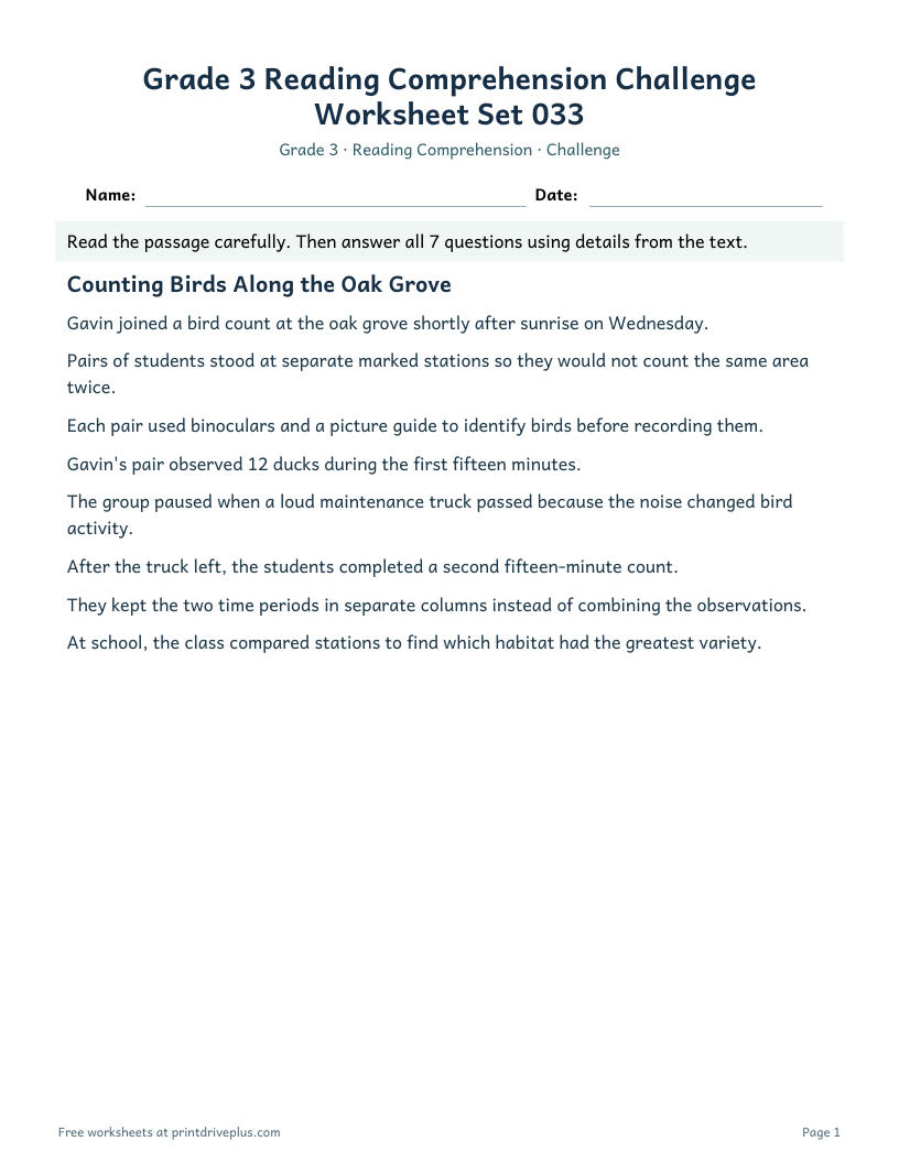 Preview of Grade 3 Reading Comprehension Challenge Worksheet Set 033