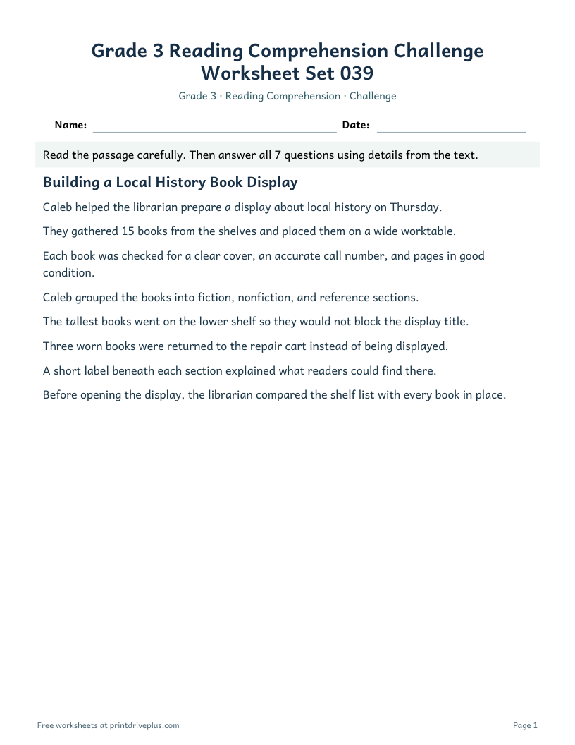 Preview of Grade 3 Reading Comprehension Challenge Worksheet Set 039