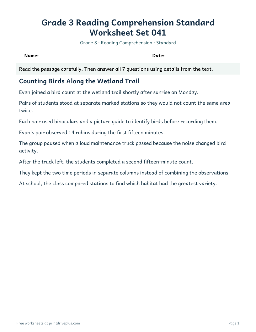 Preview of Grade 3 Reading Comprehension Standard Worksheet Set 041