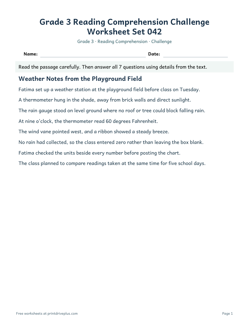 Preview of Grade 3 Reading Comprehension Challenge Worksheet Set 042