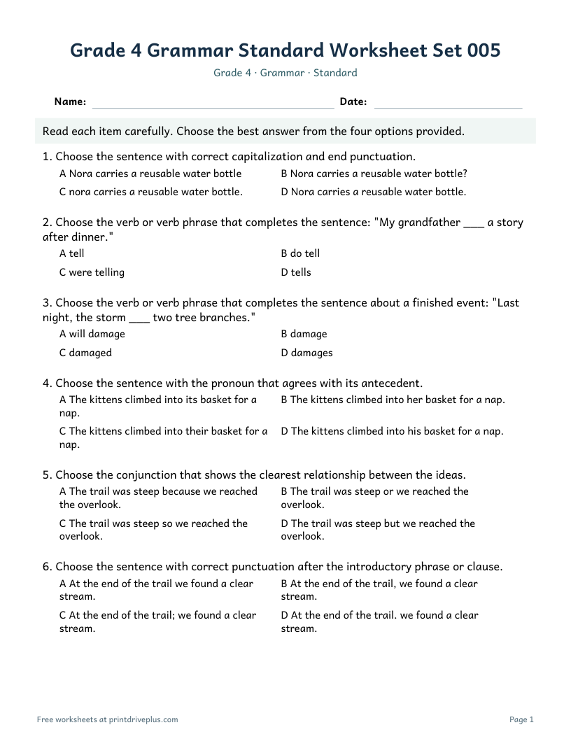 Preview of Grade 4 Grammar Standard Worksheet Set 005