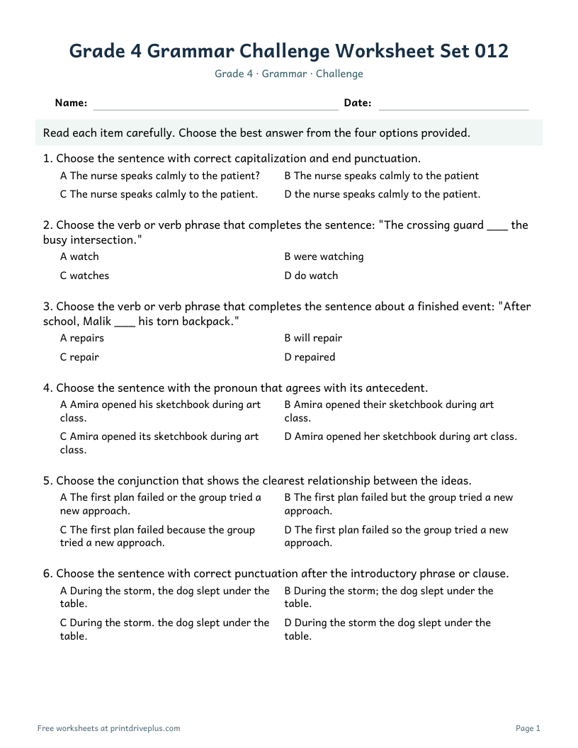 Preview of Grade 4 Grammar Challenge Worksheet Set 012