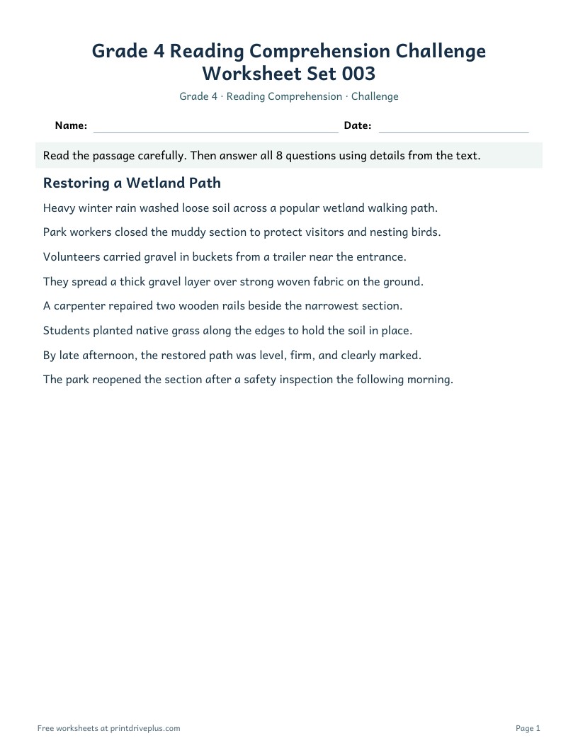 Preview of Grade 4 Reading Comprehension Challenge Worksheet Set 003