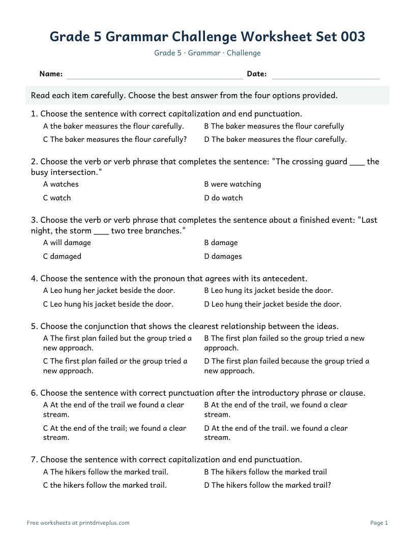 Preview of Grade 5 Grammar Challenge Worksheet Set 003
