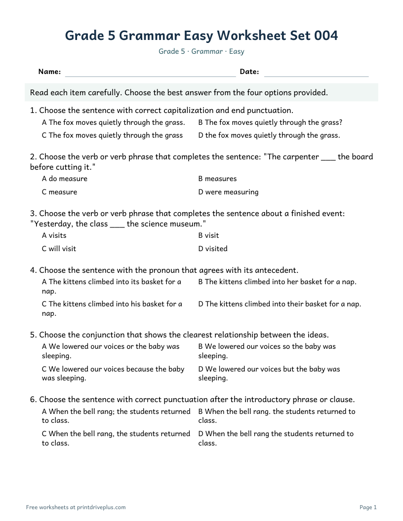Preview of Grade 5 Grammar Easy Worksheet Set 004