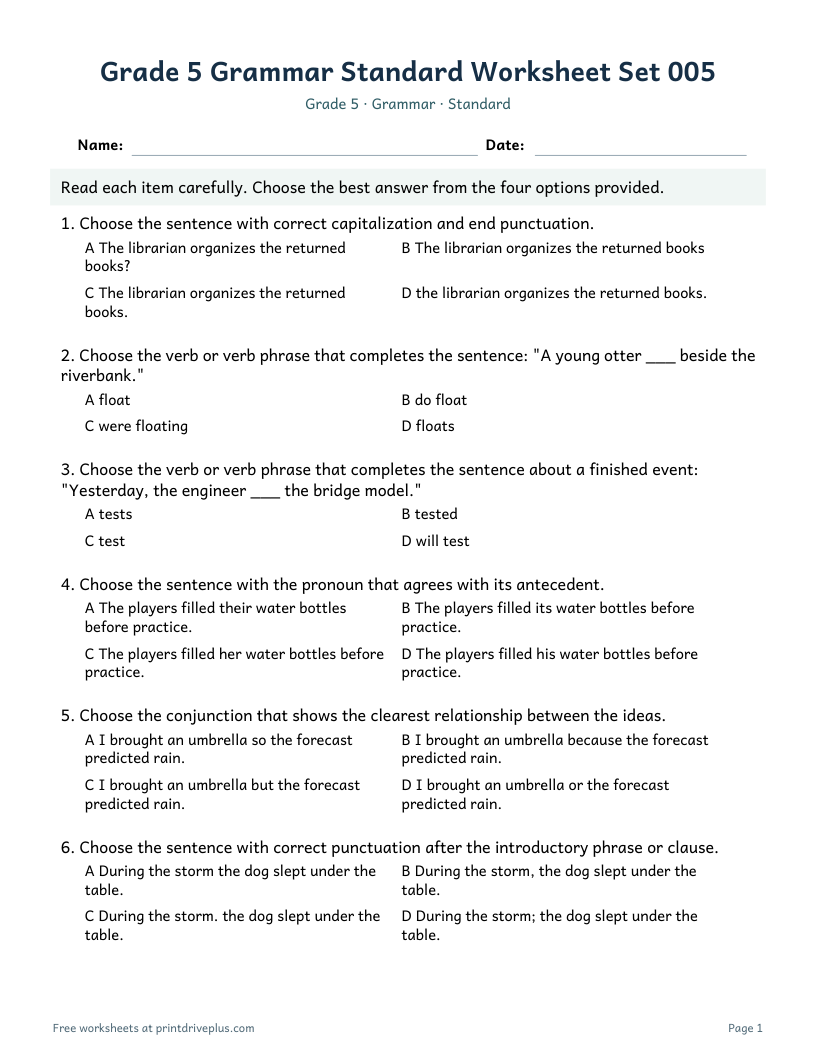 Preview of Grade 5 Grammar Standard Worksheet Set 005