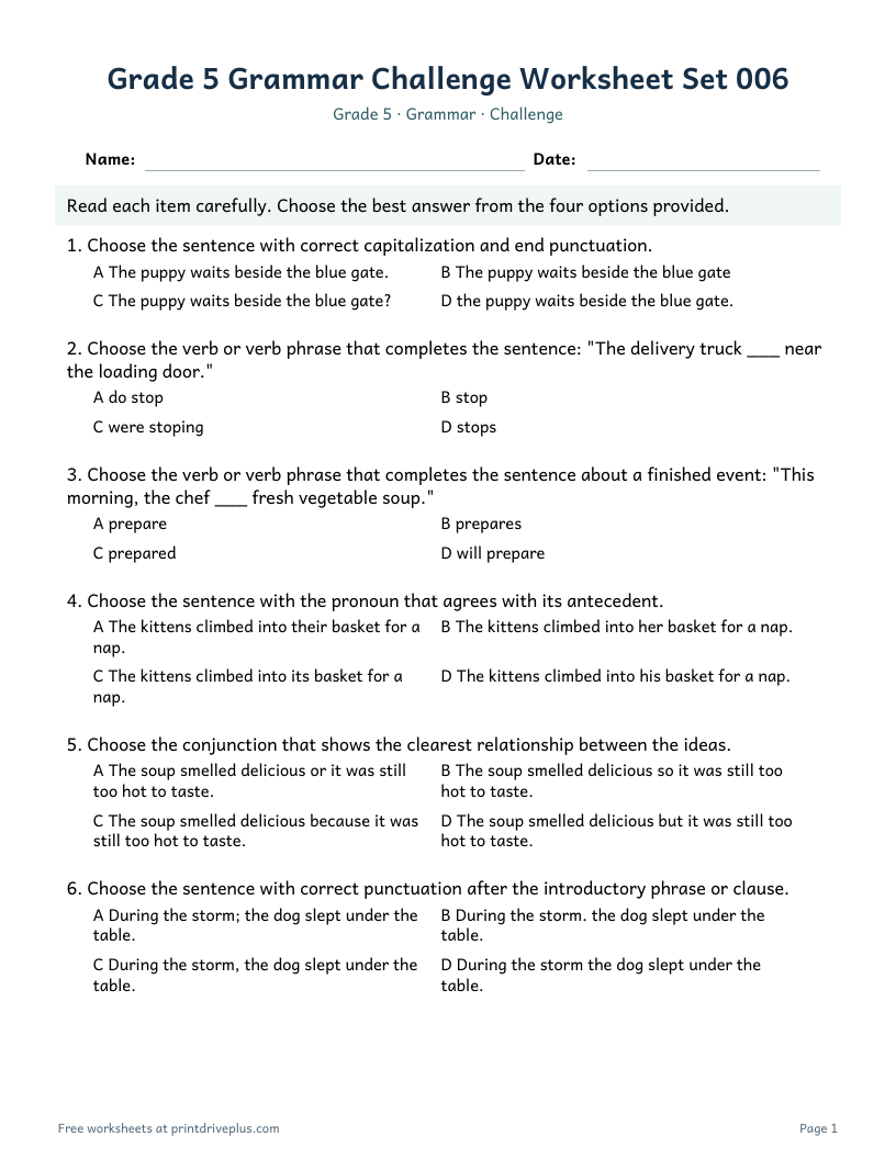 Preview of Grade 5 Grammar Challenge Worksheet Set 006