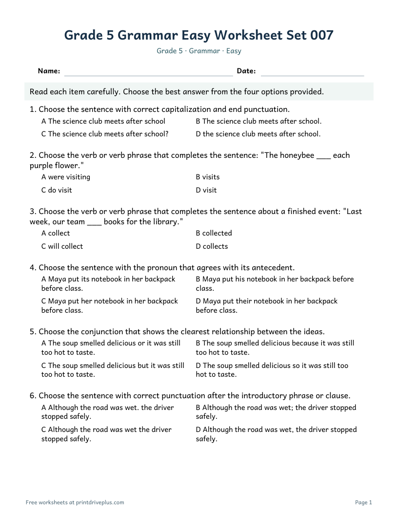 Preview of Grade 5 Grammar Easy Worksheet Set 007