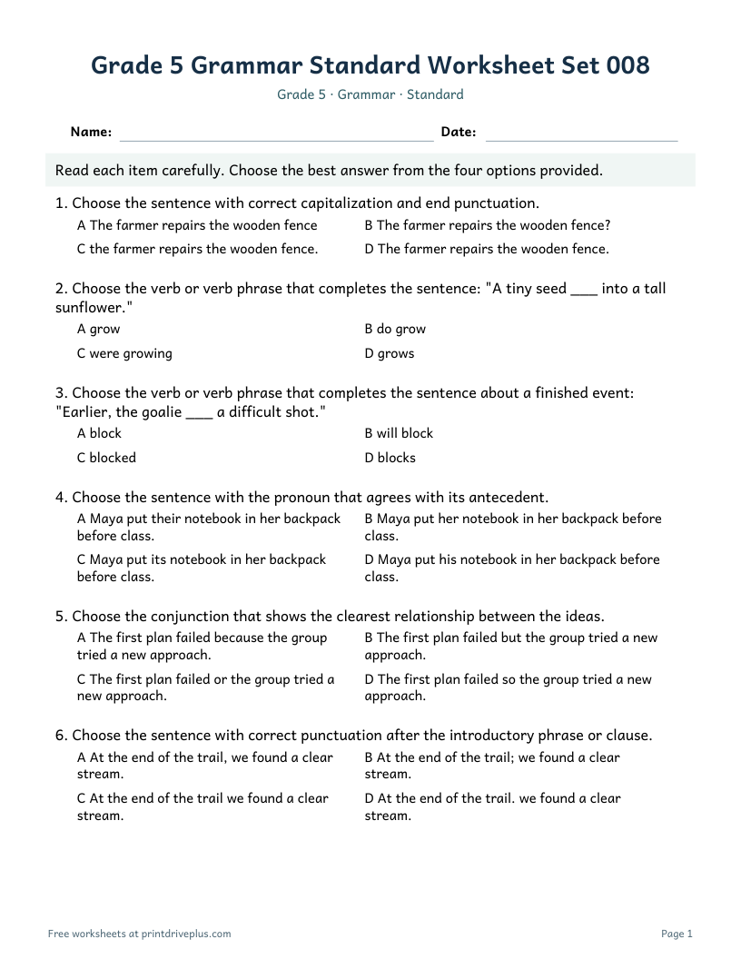 Preview of Grade 5 Grammar Standard Worksheet Set 008