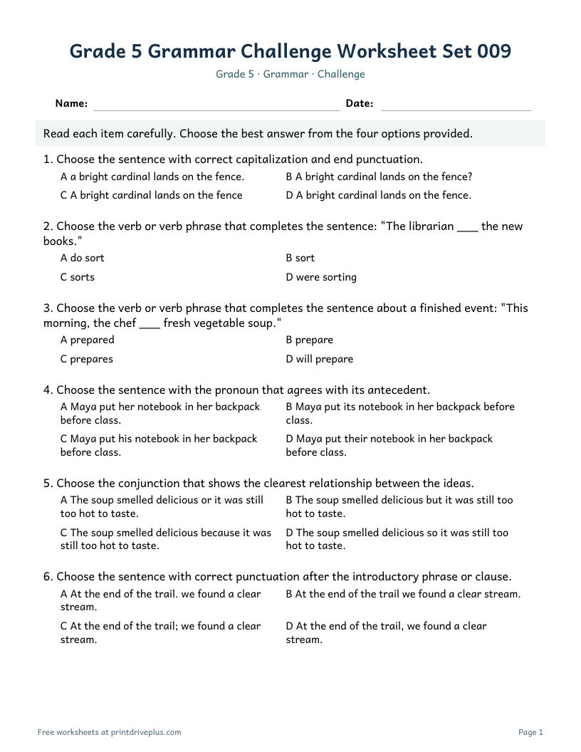 Preview of Grade 5 Grammar Challenge Worksheet Set 009