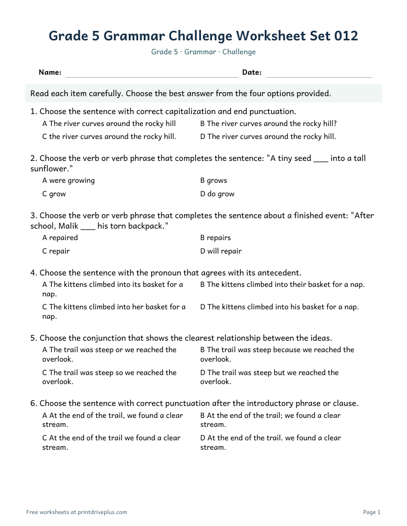Preview of Grade 5 Grammar Challenge Worksheet Set 012