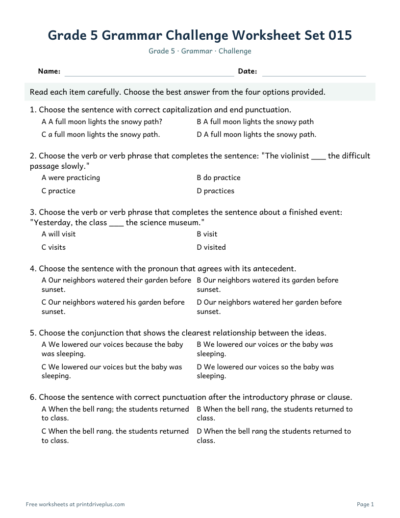 Preview of Grade 5 Grammar Challenge Worksheet Set 015