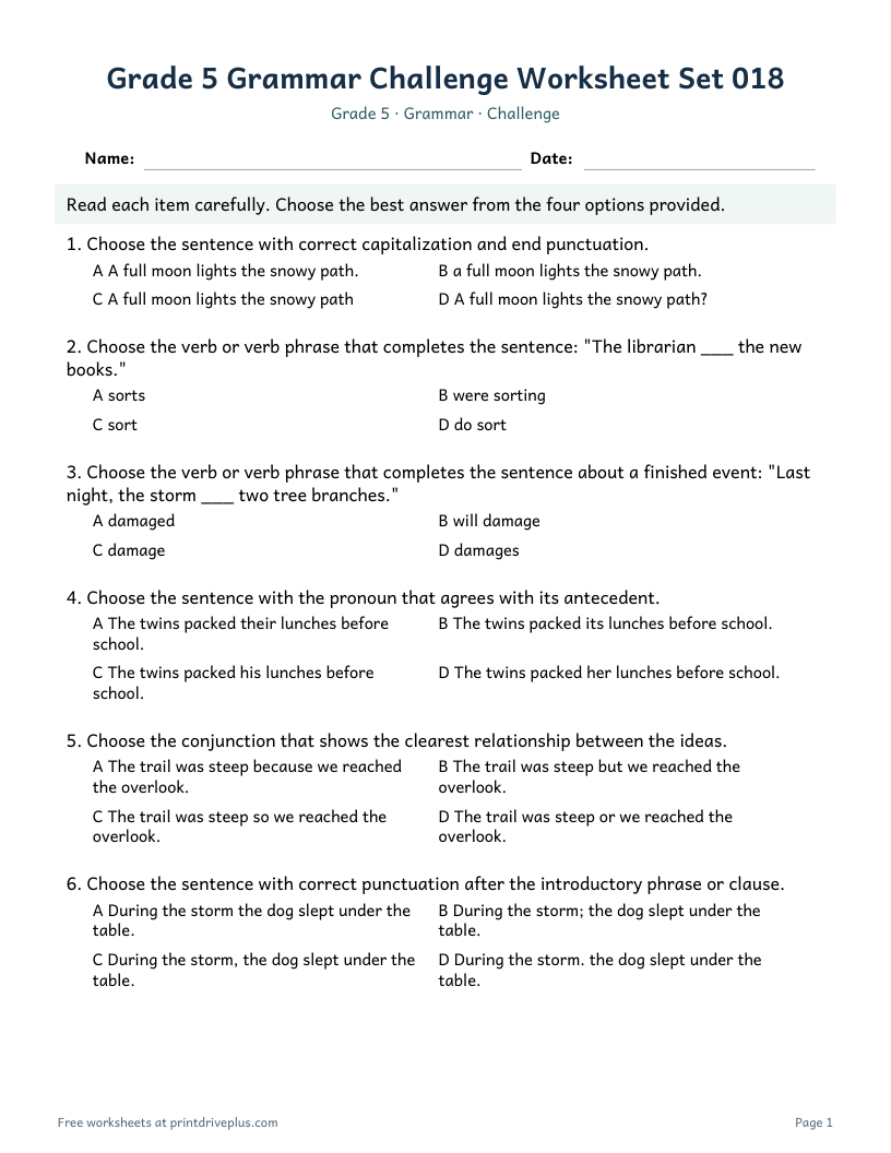 Preview of Grade 5 Grammar Challenge Worksheet Set 018