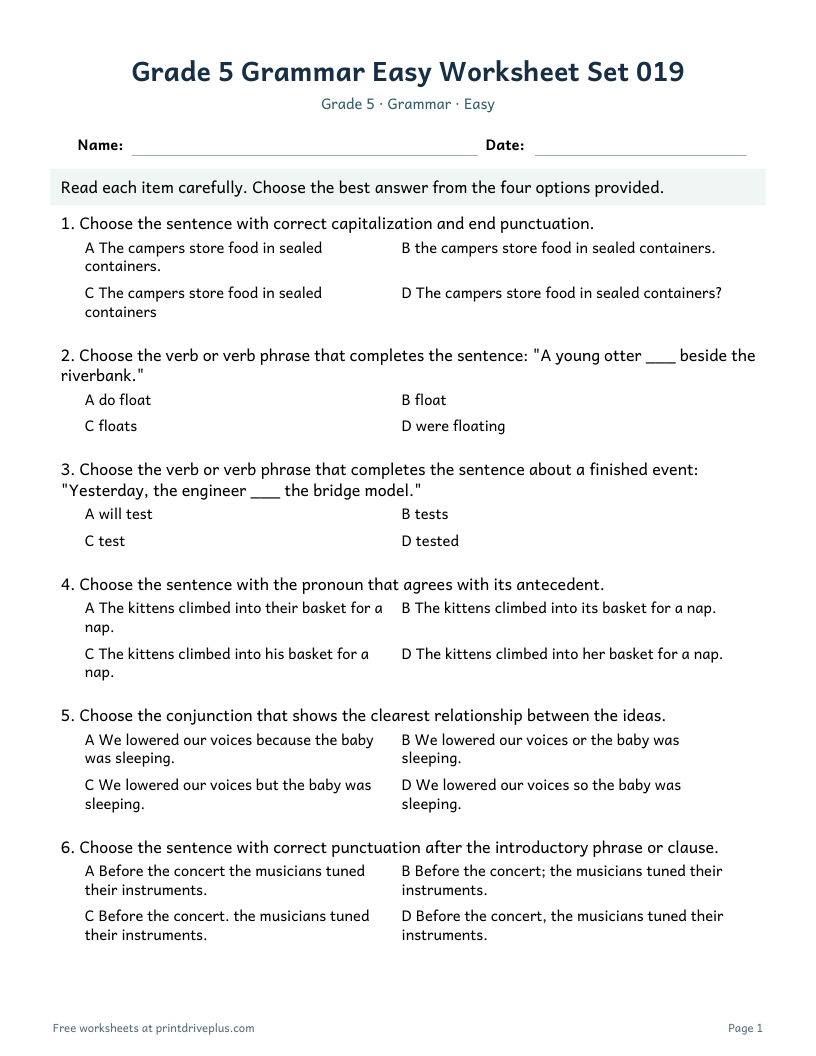 Preview of Grade 5 Grammar Easy Worksheet Set 019