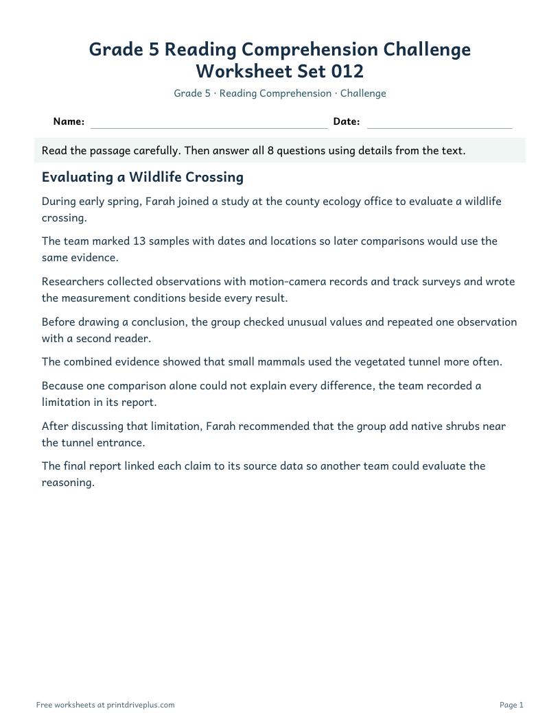 Preview of Grade 5 Reading Comprehension Challenge Worksheet Set 012