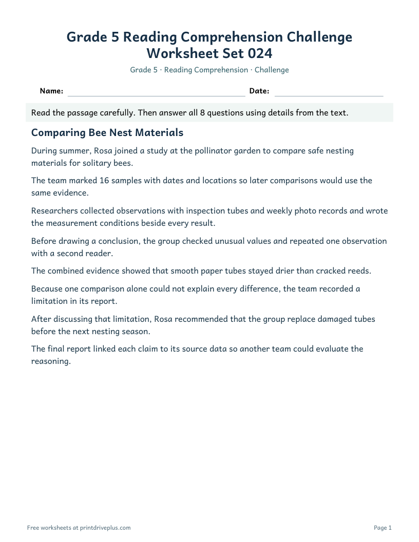 Preview of Grade 5 Reading Comprehension Challenge Worksheet Set 024